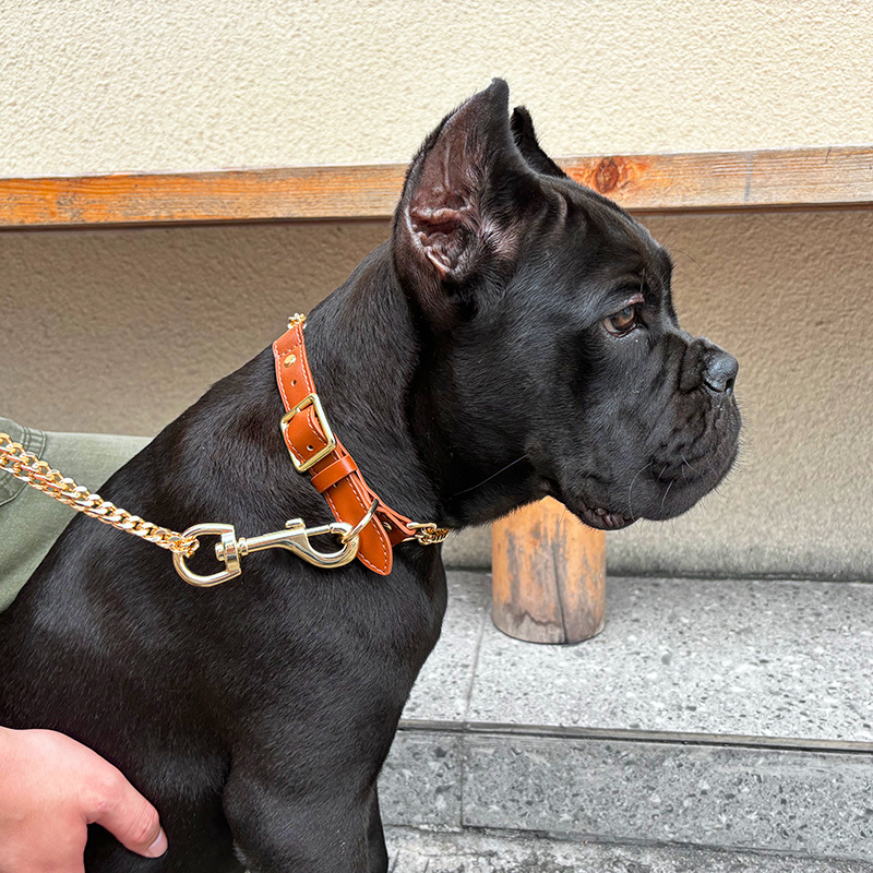 Loudik Wholesale Pet Collar Le - Leather Strap Quick Release のレビューと価格