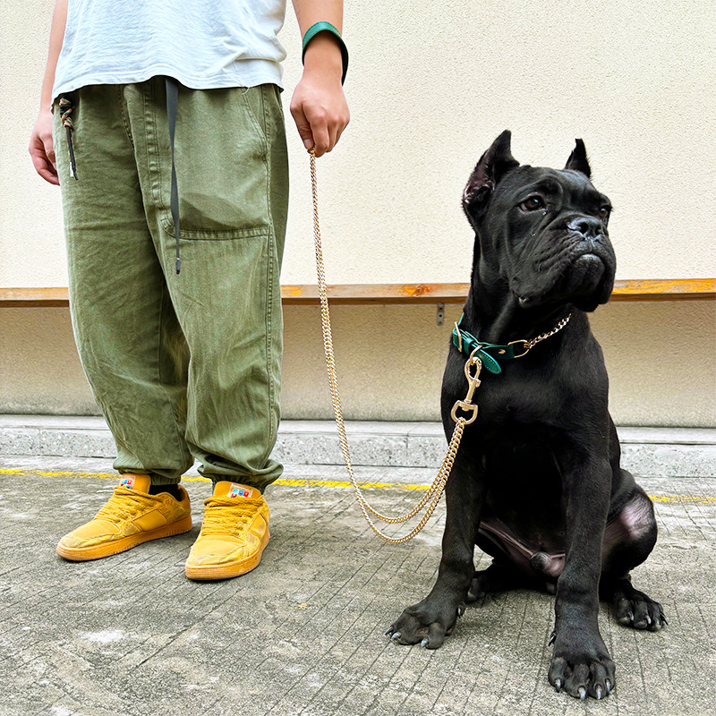 Loudik Wholesale Pet Collar Le - Leather Strap Quick Release のレビューと価格